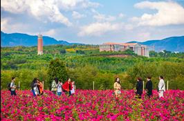 招生简介 Introduction of Admission & Scholarship
